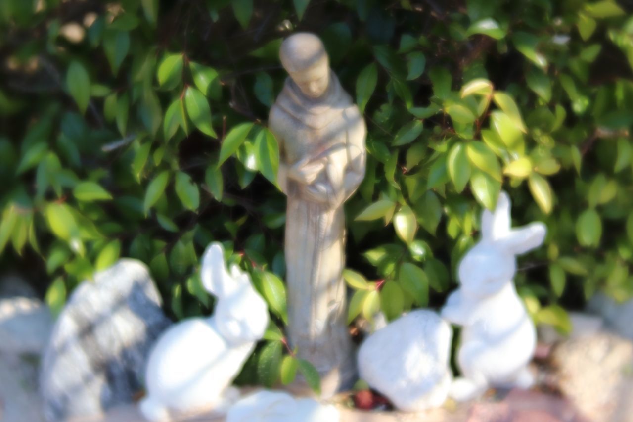 CLOSE-UP OF WHITE BOTTLE ON PLANTS