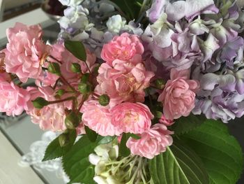 Close-up of pink flowers