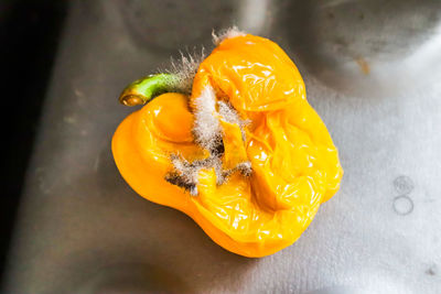 High angle view of orange on table