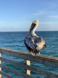 Bird perching on railing by sea against sky