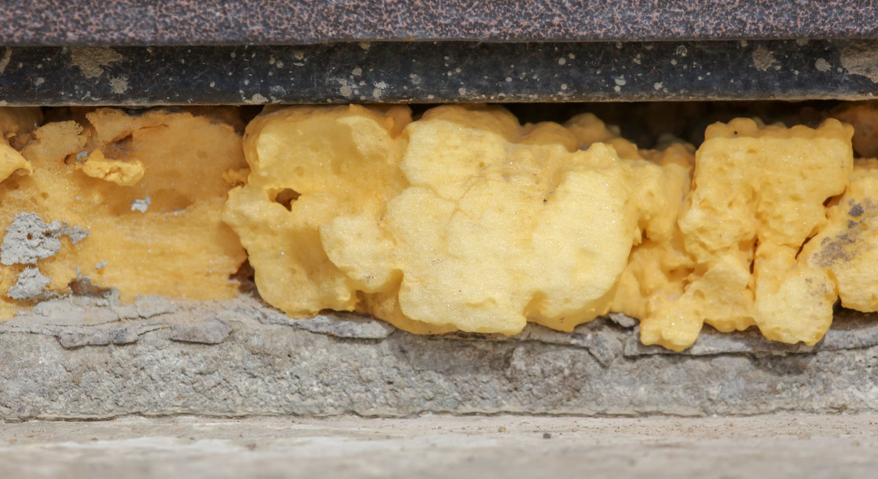 CLOSE-UP OF BREAD WITH MEAT ON WALL