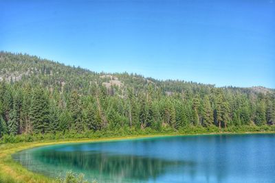 Scenic view of lake and trees against clear blue sky