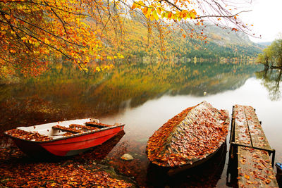 Boat moored by lake in forest during autumn