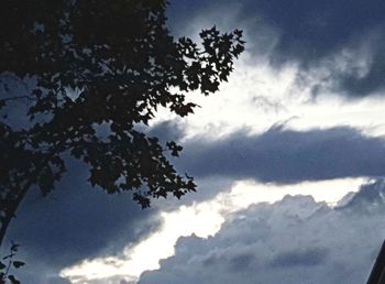 Low angle view of silhouette tree against sky