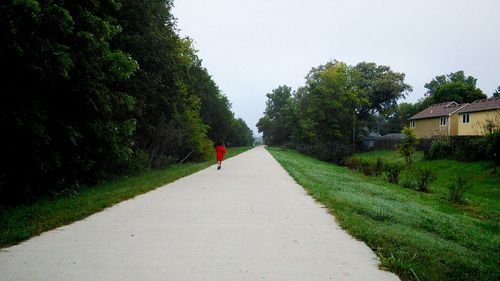 Road passing through trees