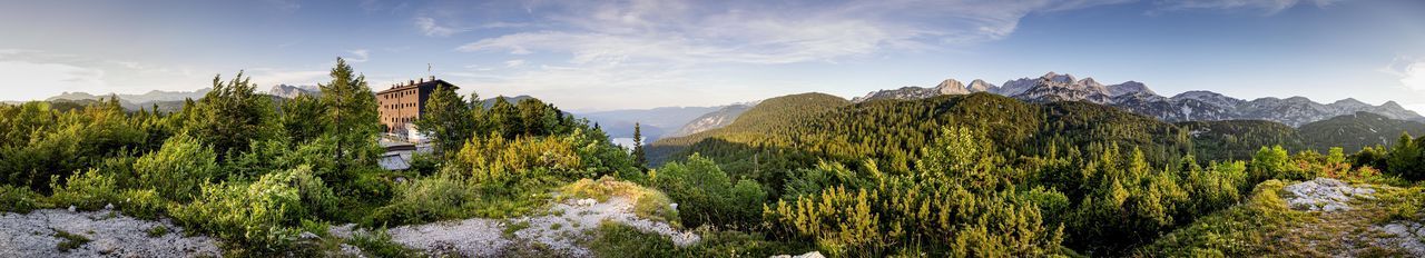 Panoramic view of trees on landscape against sky