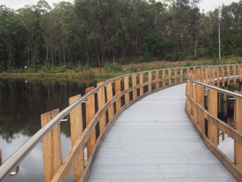 Scenic view of trees at riverbank