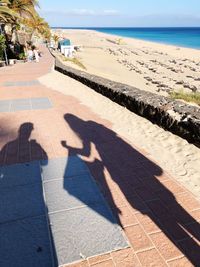 Shadow of people on footpath by sea on sunny day