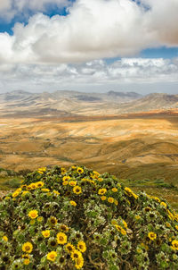 Scenic view of field against cloudy sky