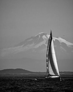 Sailboat in front of mt hood in the salish sea