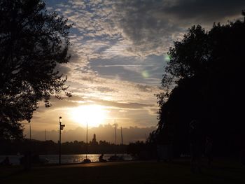Silhouette of trees at sunset