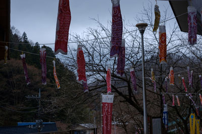 Low angle view of text hanging on tree against sky