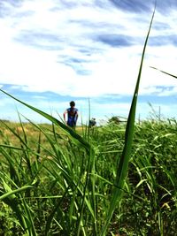 People on grassy field in front of lake against sky