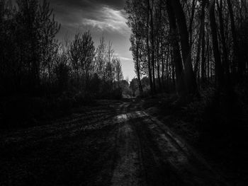 Road amidst trees in forest against sky