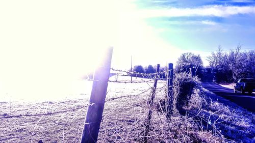 Snow covered trees against sky