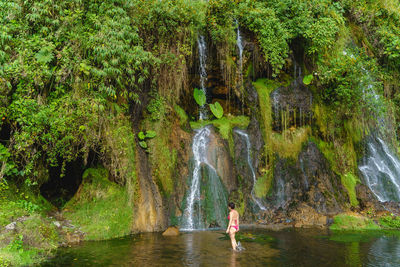 Scenic view of waterfall in forest