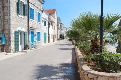 Palm trees along buildings