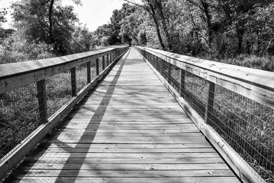 Empty footbridge along trees