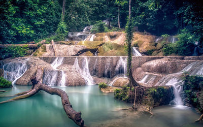 Scenic view of waterfall in forest