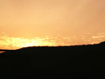 Silhouette of trees at sunset