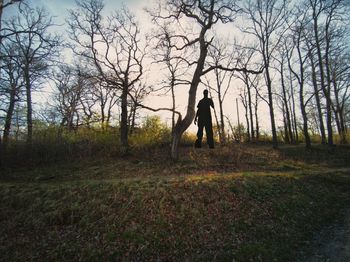 Full length of man standing on bare trees in forest