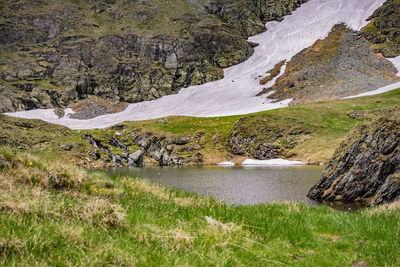Scenic view of landscape