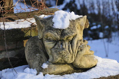 Close-up of snow on statue