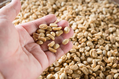 Cropped hand of person holding raw coffee beans