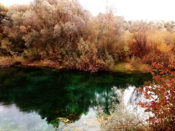 Scenic view of lake in forest during autumn