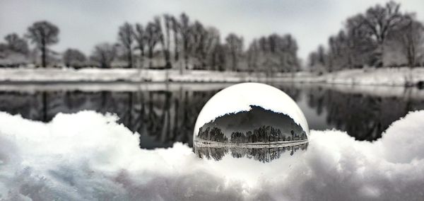 Reflection of trees in lake against sky