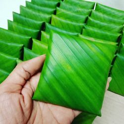 Close-up of hand holding green leaves