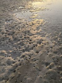 High angle view of footprints on beach