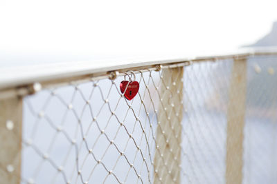 Close-up of lovelock on chainlink fence