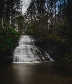 Scenic view of waterfall