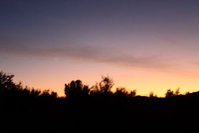 Silhouette of trees at sunset