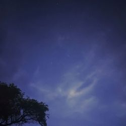 Low angle view of trees against sky at night