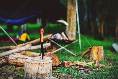 Close-up of wooden logs on field