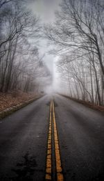 Empty road along bare trees and fog