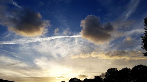 Low angle view of silhouette trees against sky during sunset