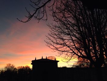 Silhouette of bare tree at sunset