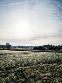 Scenic view of field against sky