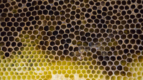 Full frame shot of patterned wall