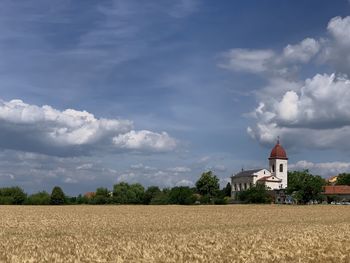 Scenic view of field against sky