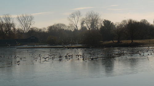 Scenic view of lake against sky