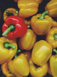 Full frame shot of yellow bell peppers