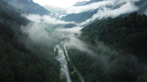 Aerial view of river flowing through forest