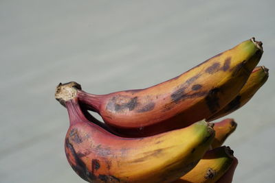 High angle view of bananas