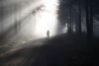 Silhouette man walking on field by trees in forest