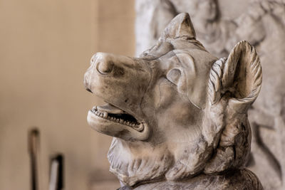 Close-up of statue in museum