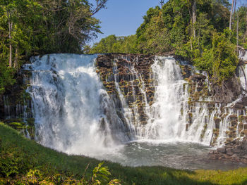 Scenic view of waterfall in forest